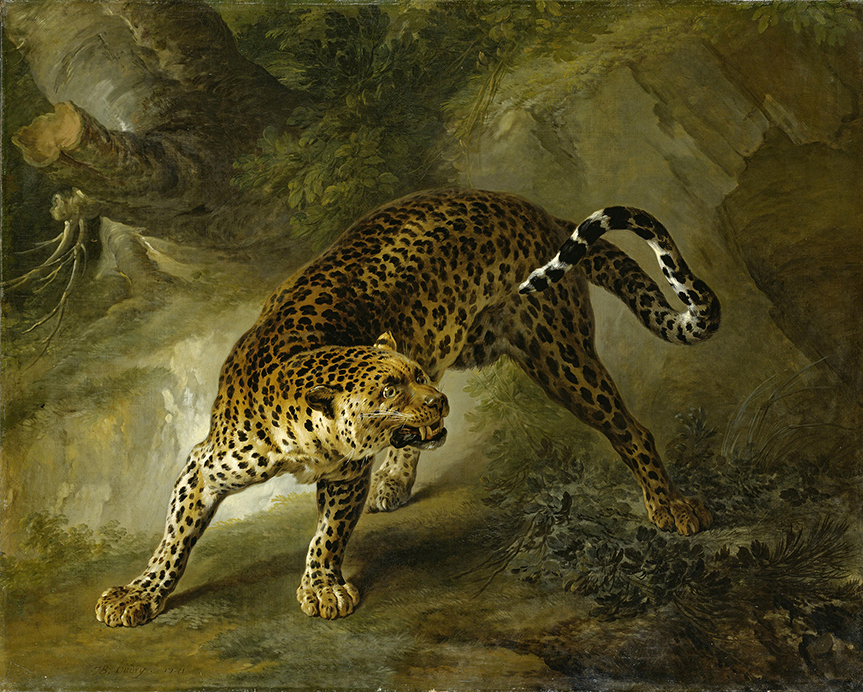 Leopard