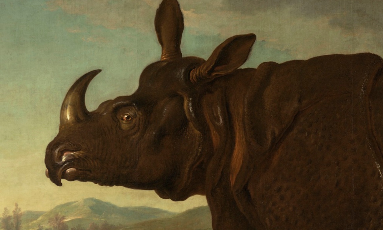Jean-Baptiste Oudry, <i>Rhinoceros</i>,1749
