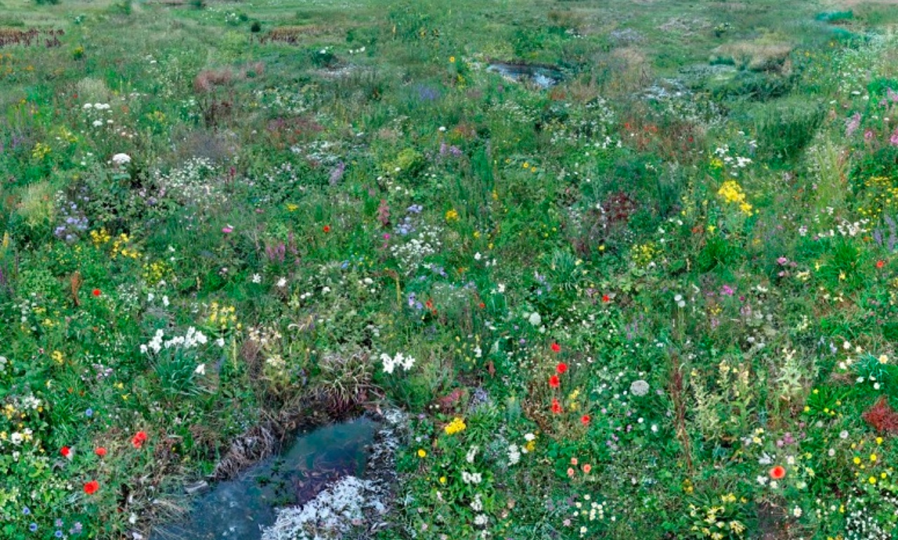 Hiroyuki Masuyama, <i>Flowers No. 7</i>, 2009