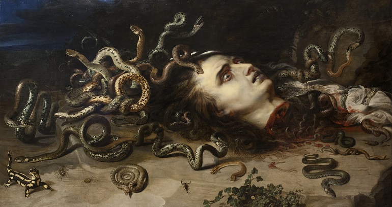 Die Menagerie der Medusa